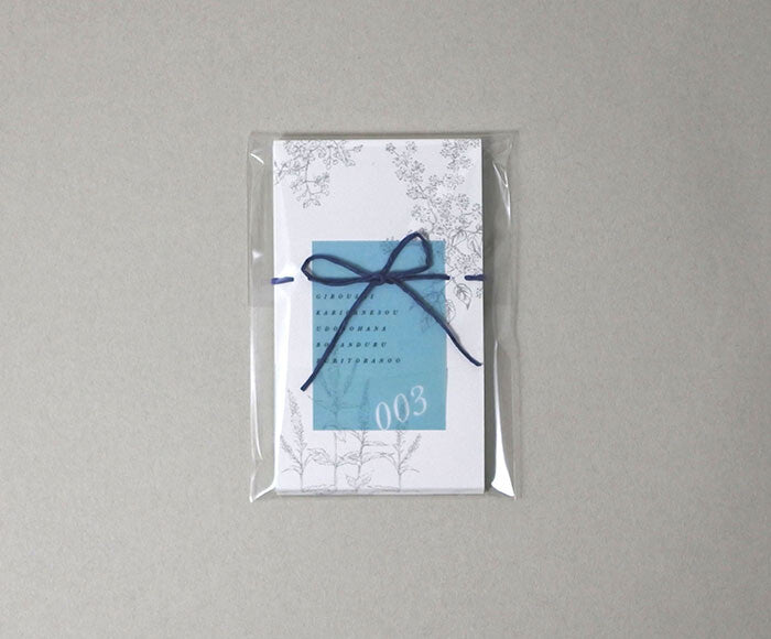 Mocolier簡約風留言卡—夏季野花 (10張)