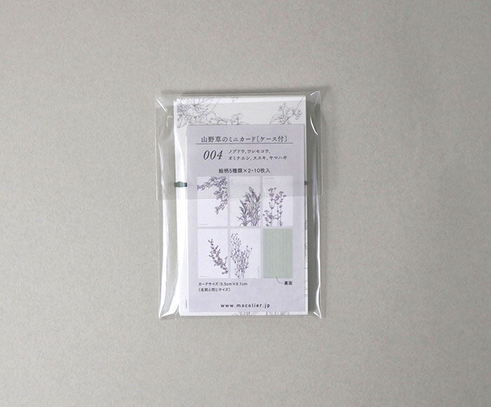 Mocolier簡約風留言卡—秋季野花 (10張)