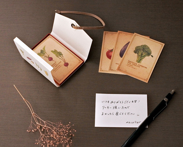 Mocolier圖鑑風留言卡—蔬菜 (大,共12張)