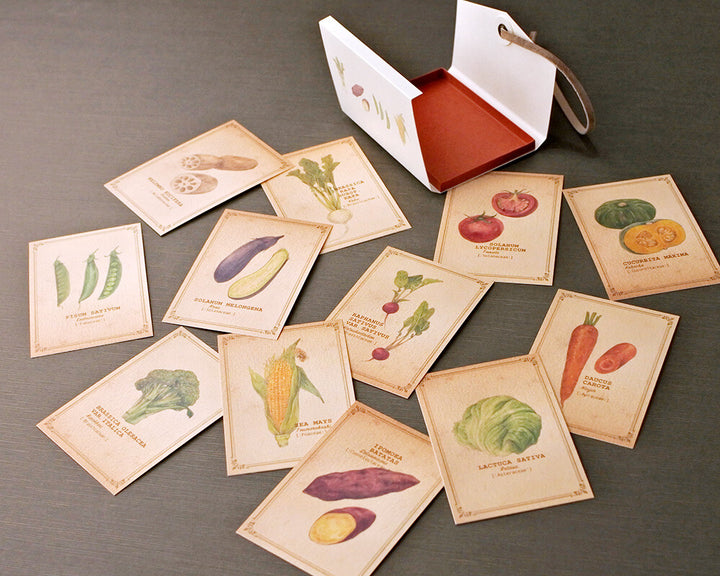 Mocolier圖鑑風留言卡—蔬菜 (大,共12張)