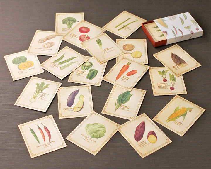Mocolier圖鑑風留言卡—蔬菜 (小,共20張)