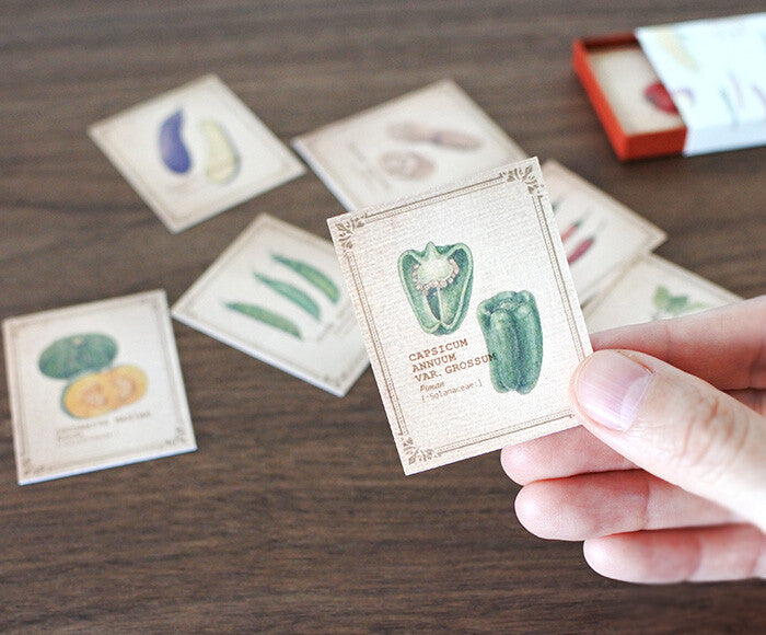 Mocolier圖鑑風留言卡—蔬菜 (小,共20張)