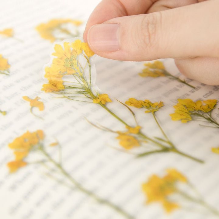 Appree仿真押花貼紙—Rapeseed flower