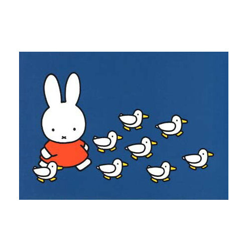 Miffy明信片—Miffy and Birds